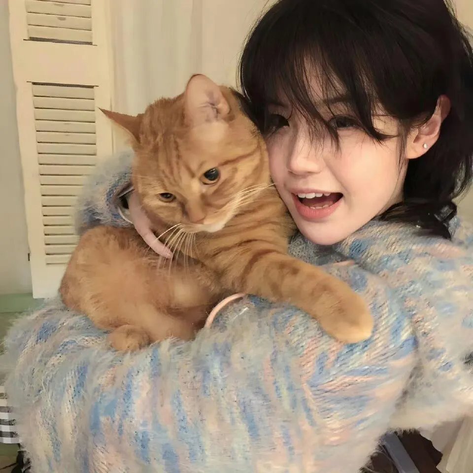 野猫痴情